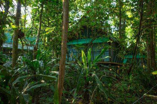 Almonds And Corals Lodge