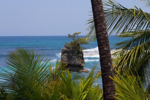 Almonds And Corals Lodge