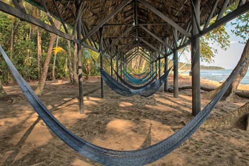 Almonds And Corals Lodge