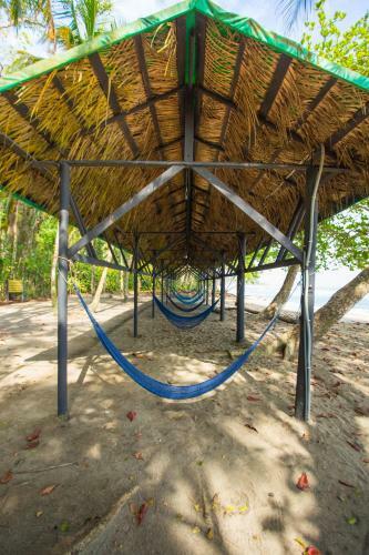 Almonds And Corals Lodge
