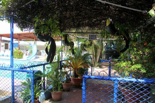 Hotel Oasis Del Pacifico