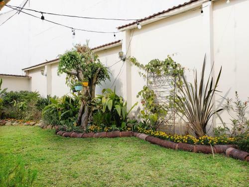 Albergue Dscvr - The Garden San Jos�