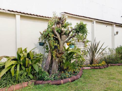 Albergue Dscvr - The Garden San Jos�