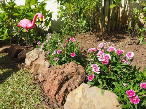 Albergue Dscvr - The Garden San Jos�