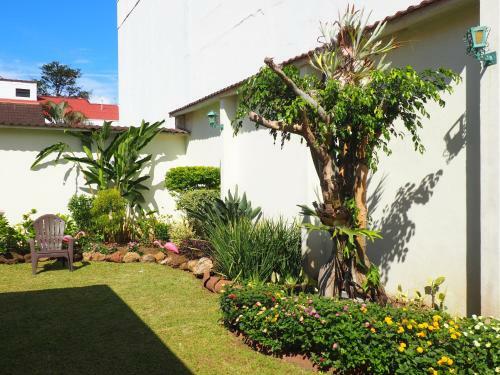 Albergue Dscvr - The Garden San Jos�