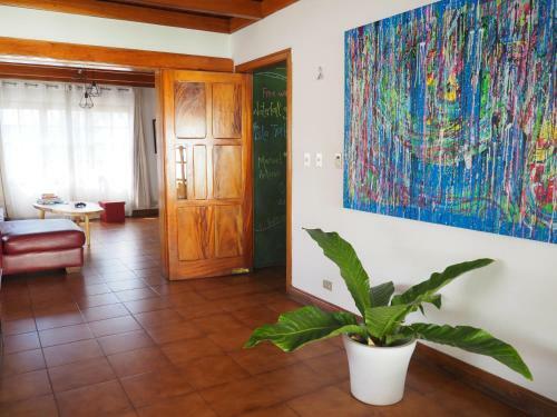 Albergue Dscvr - The Garden San Jos�
