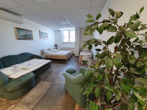 Hostel Novak
