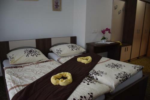 Hostel Novak