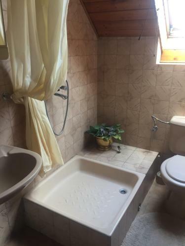 Hostal Ilona Panzi�