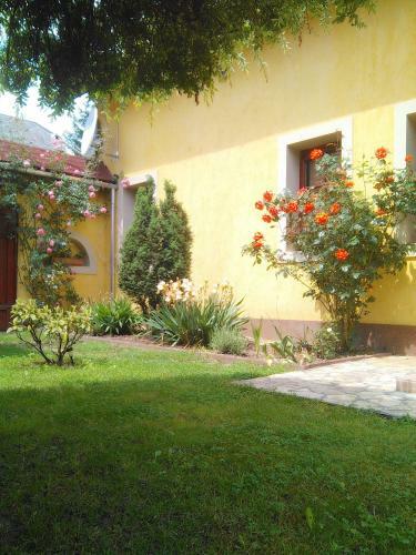 Bed & Breakfast Forr�s Fogad�