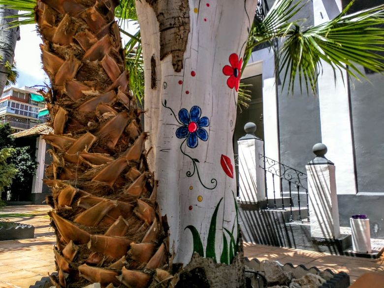 Nwt Paradise Urban Hostel