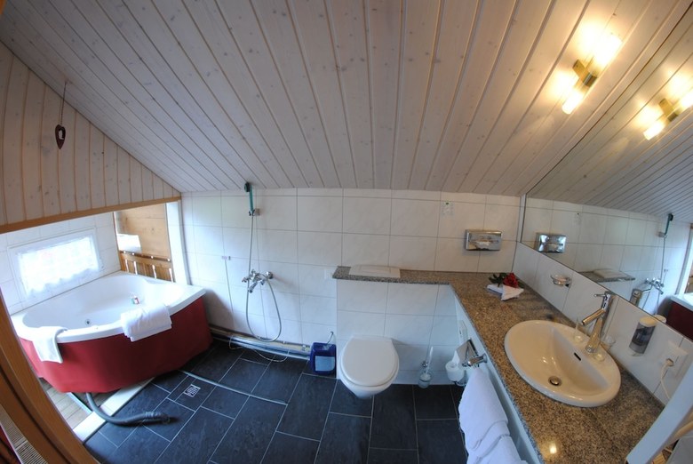 Chalet-hotel Adler