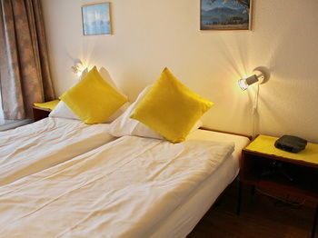 Hotel Alpina