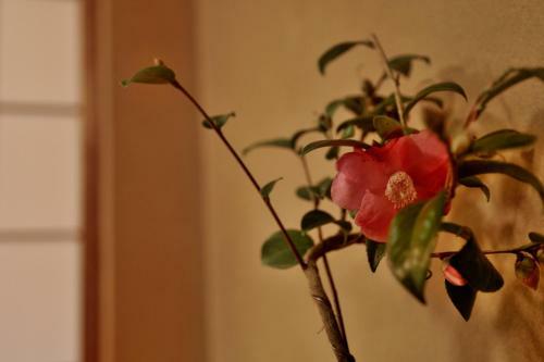 Bed & Breakfast Mitsuki Kyoto