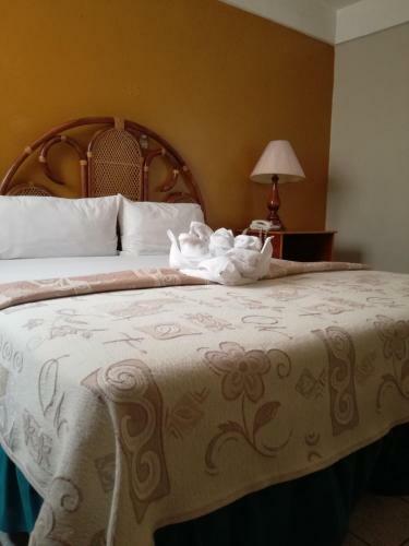 Hotel Dinast�a Colima