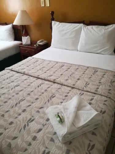 Hotel Dinast�a Colima