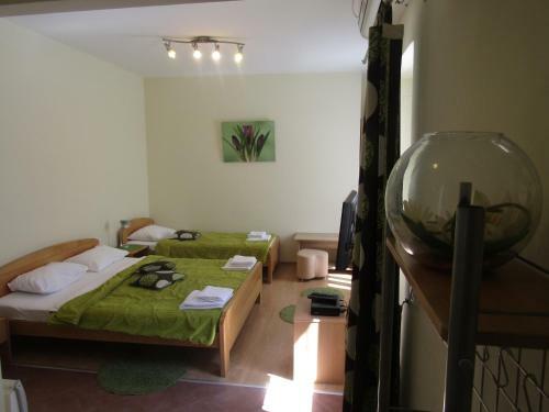 Hostal Central Studios