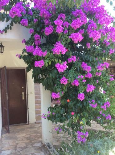 Apartamento Family Home