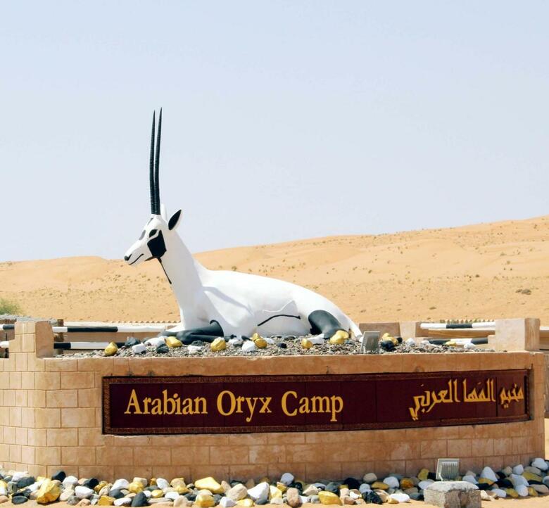 Arabian Oryx Camp