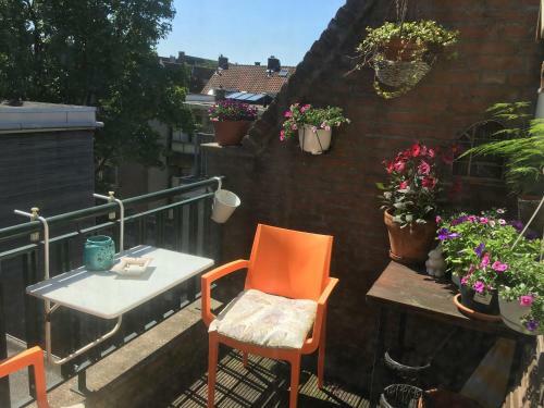 Hostal B&B Central
