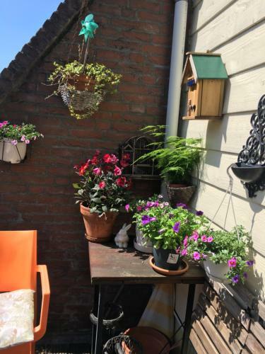 Hostal B&B Central