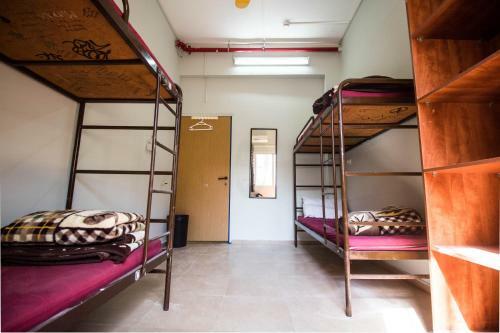 Albergue Hayarkon 48