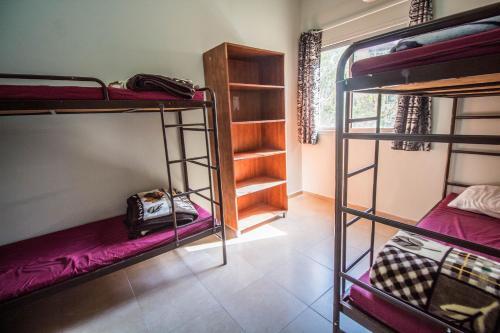 Albergue Hayarkon 48