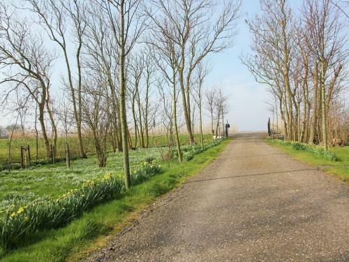 Beautiful Apartment In Burgerbrug Near Beach