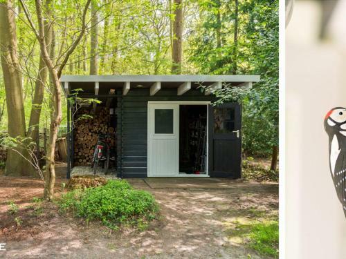 Spacious Holiday Home In The Woods In Doldersum