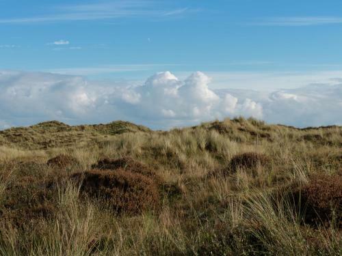 Apartment Knus Terschelling