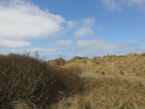 Comfortable Cottage Near Sea In Oosterend Terschelling