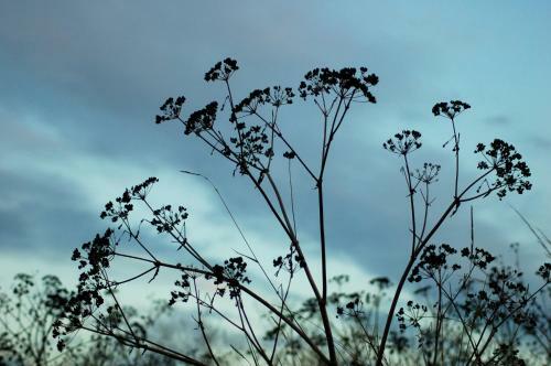 Bed & Breakfast The Harnser