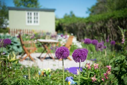 The Mount Self-catering
