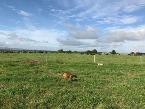 Rew Farm Country & Equestrian Accommodation