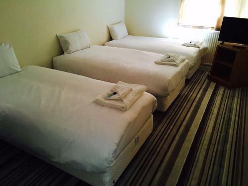 Ebers Hotel