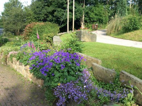 Bed & Breakfast Fordhouse Farm
