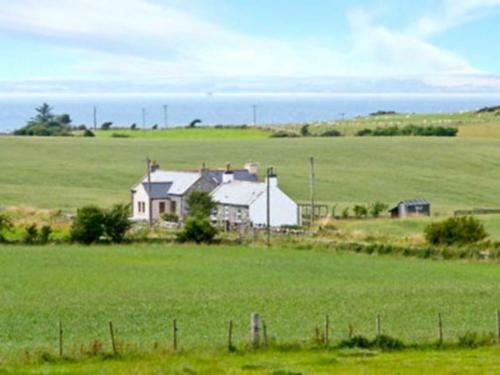 Wee Dug Hoose