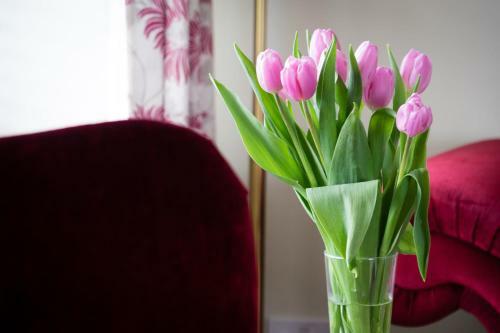 The Graig Bed & Breakfast Ludlow
