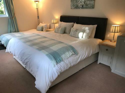 The Warren B&B