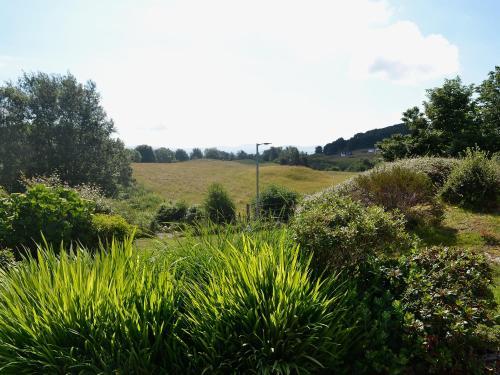 Hilltop