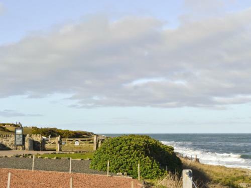 Craster View