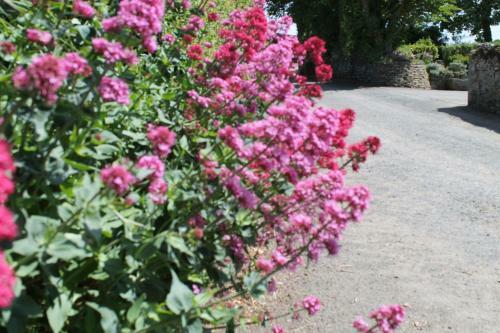 Trevanger Farm Bed And Breakfast