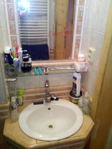 Apartamento Frantiskov 17