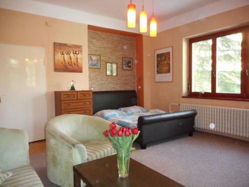 Apartm�n Dobr� Nad?je