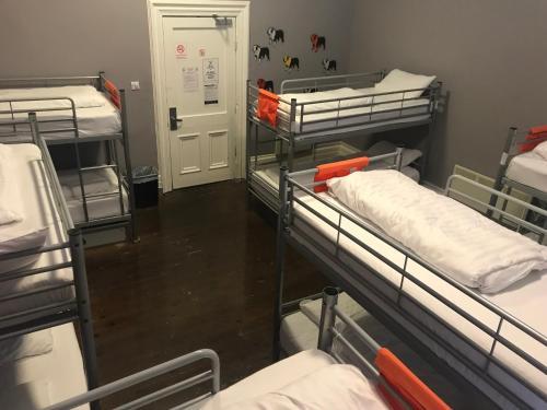Albergue Albatross Backpackers In!