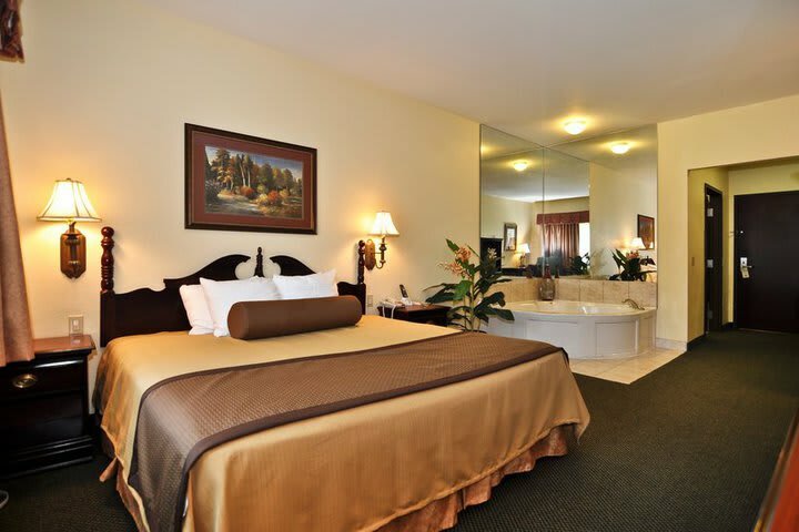 Hotel Best Western Houston Inn And Suites
