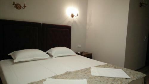 Hostal Pensiunea La Iani