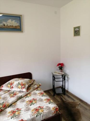 Hostal Pensiunea Bobu