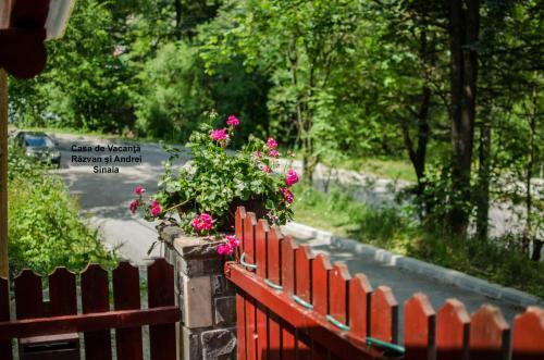 Hostal Casa De Vacanta Razvan Si Andrei