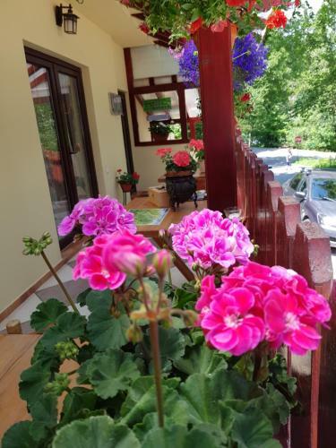 Hostal Casa De Vacanta Razvan Si Andrei